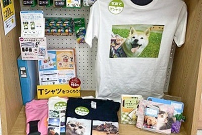 店舗数業界no 1の全国約300店舗 オリジナルtシャツ Wety 店舗数業界no 1の全国約300店舗 オリジナルtシャツ Wety