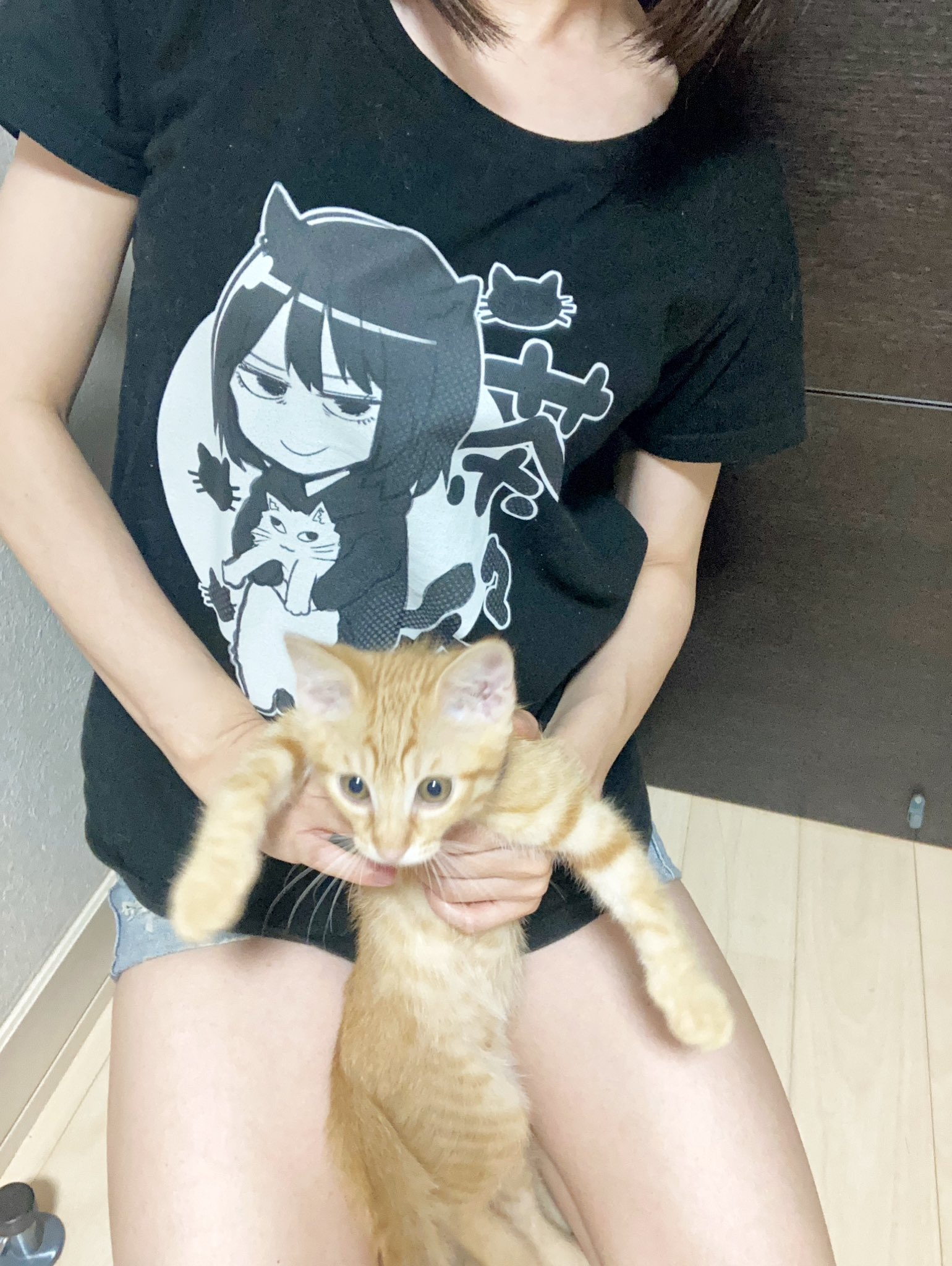 制作事例